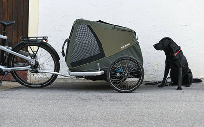 Croozer Dog Mikke – Moosgrün Croozer