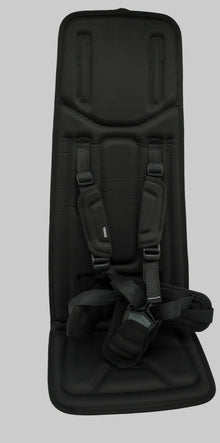 Thule Chariot Ersatzsitz | Rausnehmbarer Sitz für 3. Generation 1- & 2-Sitzer Thule